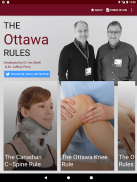 The Ottawa Rules screenshot 3