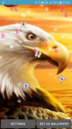 Eagle Live Wallpaper screenshot 3