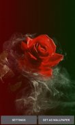 Smoky Red Rose LWP screenshot 0