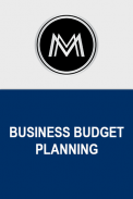 Business Budget Planning screenshot 0