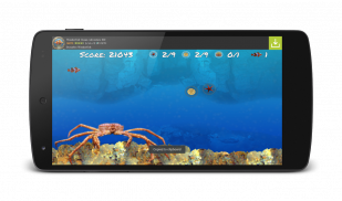Wonder Fish नि: शुल्क खेलों HD screenshot 4
