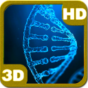 Mysterious DNA Strand in Double Helix