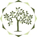 Ayurveda Healing (Hindi Version) Icon