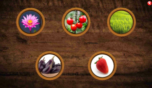 All Vegetals Pairs Memory Game screenshot 10