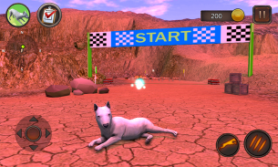 Bull Terier Dog Simulator screenshot 15