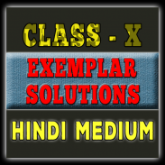 Class 10 math(Hindi)Ncert exemplar screenshot 2