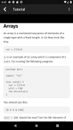 Go Programming Compiler screenshot 3