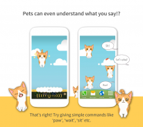 Hellopet - Милые кошки и собаки screenshot 3