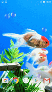 Fonds d'écran Aquarium screenshot 6