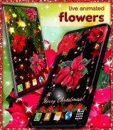 Poinsettia 4K Christmas Flower screenshot 3
