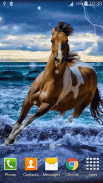 Horse Live Wallpaper HD screenshot 4