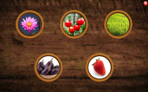 All Vegetals Pairs Memory Game screenshot 11