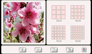 Indovina il Fiore: Puzzle Mattonelle screenshot 2