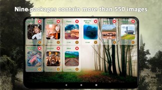 Puzzle d'Endroits Abandonnés screenshot 7