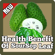 Health Benefit Of Soursop+Leaf screenshot 2