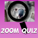 Quiz Zoom. Guess the image. New quiz game