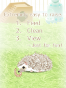 Hedgehog Pet screenshot 4