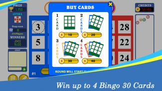 Bingo Thirty™ - Free Bingo 30 Game screenshot 9