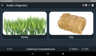 Arabic Algerian Language Tests screenshot 2