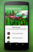 Bugs of New Zealand Free screenshot 0