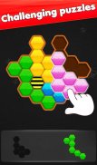 Honeycomb Hexa Block Puzzle screenshot 10