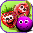Berries Match Three, connect and crush fruits Icon