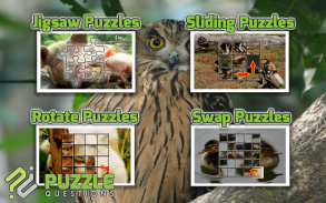 Juegos de animales gratis screenshot 2