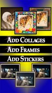 cPhoto Maker Free: Pic-Frame + Photo Collage + Picture Editor screenshot 6