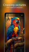 Parrot Wallpapers 4K screenshot 1