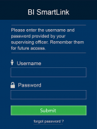 BI SmartLINK screenshot 2