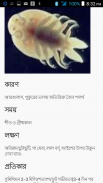 মৎস্য পরামর্শ screenshot 3