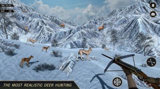 Deer Hunting Games Wild Animal screenshot 8