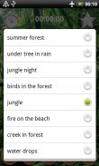 森林的聲音 screenshot 1