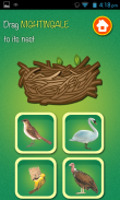 Learn Birds Name - Birds Picture & Sound screenshot 5