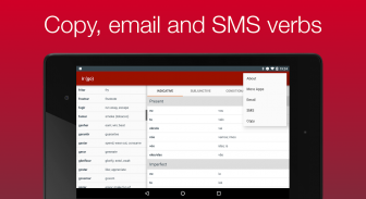 Portuguese Verb Conjugator screenshot 3