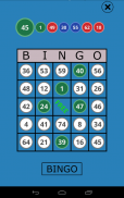 Classic Bingo Touch screenshot 1