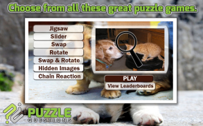 Free Dogs and Cats Puzzles screenshot 0