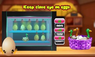 Peternakan itik bebek: telur & peternakan unggas screenshot 0