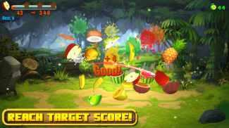 Fruit Crush Mania screenshot 0