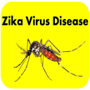 Zika Virus Disease Treatment