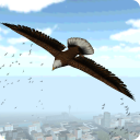 Aquila Bird City Simulator Icon