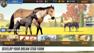 Rival Stars Horse Racing screenshot 12