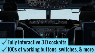 X-Plane 10 Flight Simulator screenshot 1
