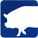 PigPlus - Baixar APK para Android | Aptoide