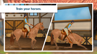 Horse Hotel - be the manager of your own ranch! screenshot 4