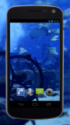 4K Aquarium Tank Video Live Wallpaper screenshot 1