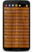 Koto 13-stringed screenshot 4