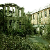 Escape Games Cane Hill Asylum