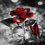 Red Black Butterfly LWP screenshot 3