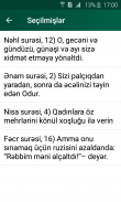 Qurani Kərim və Tərcüməsi (Əlixan Musayev) screenshot 3
